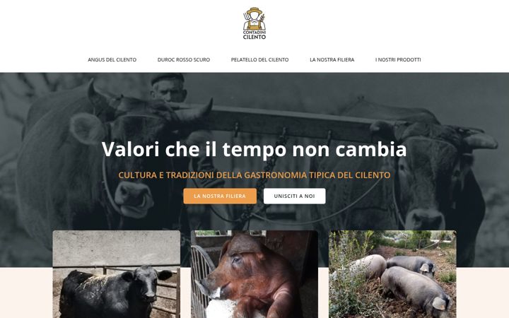 Screenshot of contadinicilento.it