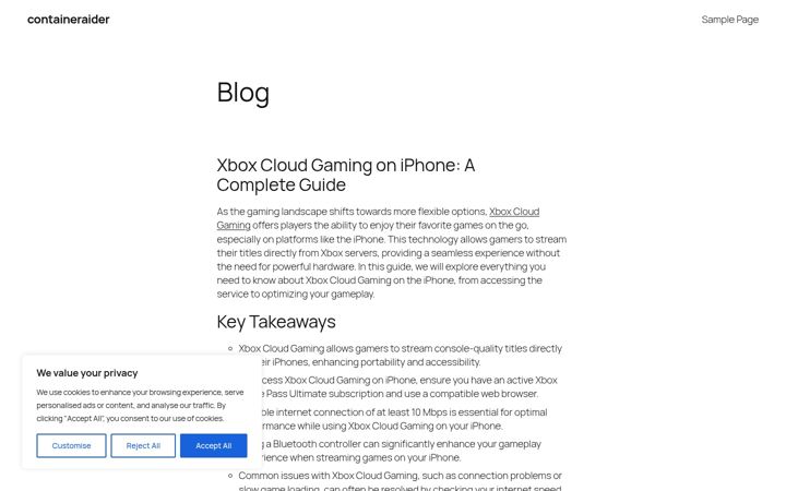 Screenshot of containeraider.com