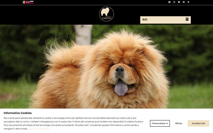 Screenshot of conteadidanstef.it