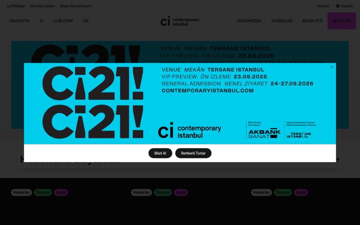 Screenshot of contemporaryistanbul.com