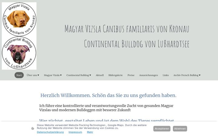 Screenshot of conti-redbulls.de