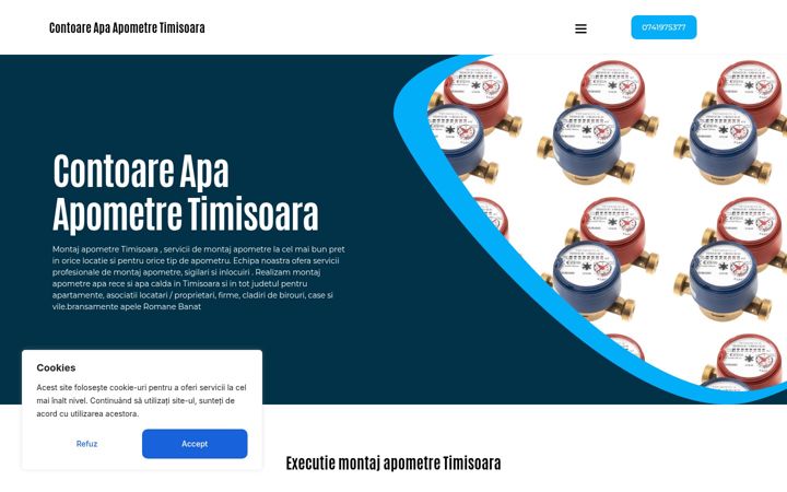 Screenshot of contoareapatimisoara.ro