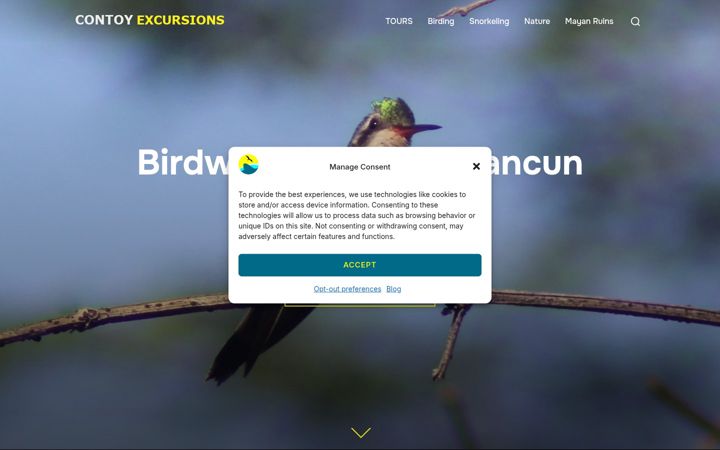 Screenshot of contoyexcursions.com