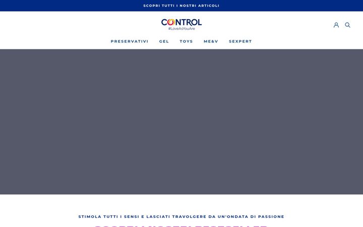 Zrzut ekranu control.it