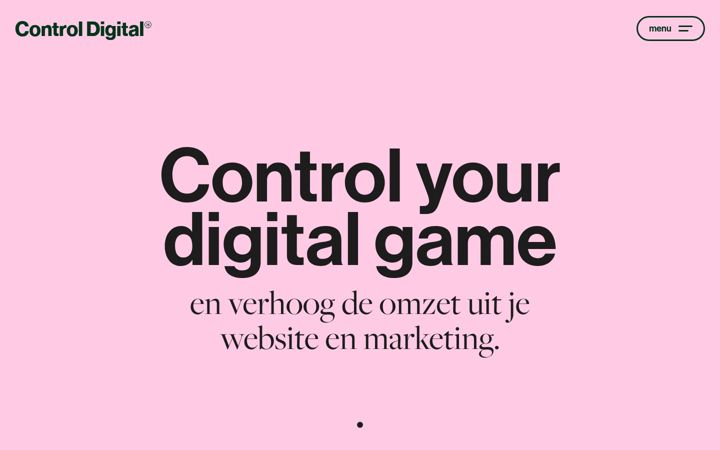 Screenshot of controldigital.nl