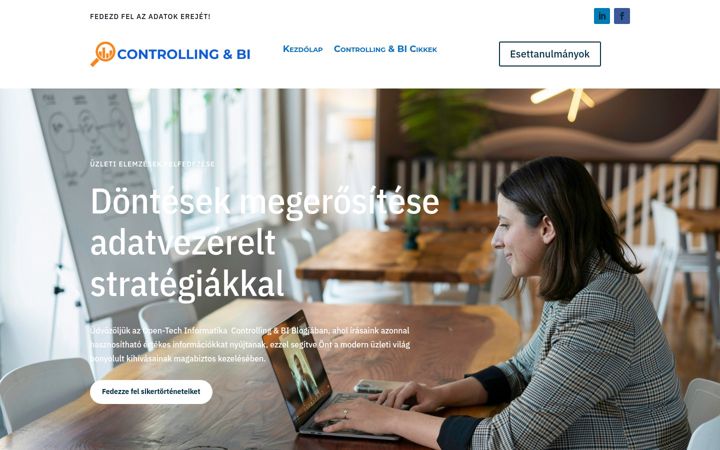Screenshot of controllingbi.hu