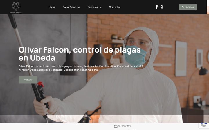 Screenshot of controlplagasubeda.com