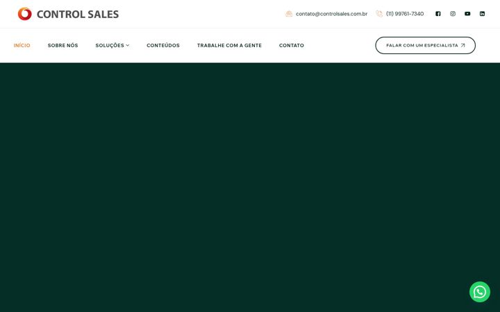 Screenshot di controlsales.com.br