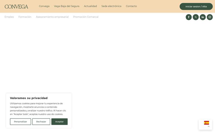 Screenshot of convega.com