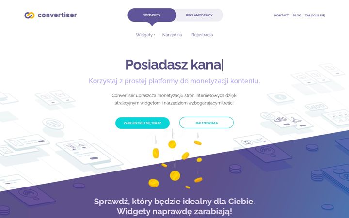 Screenshot of convertiser.com