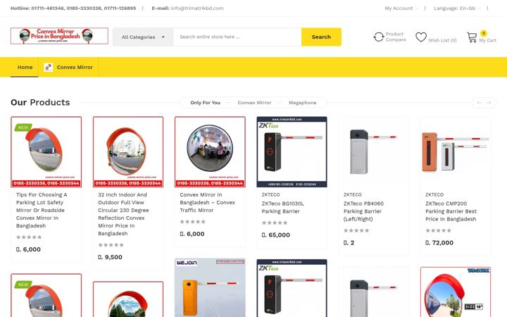 Screenshot of convex-mirror-price.com