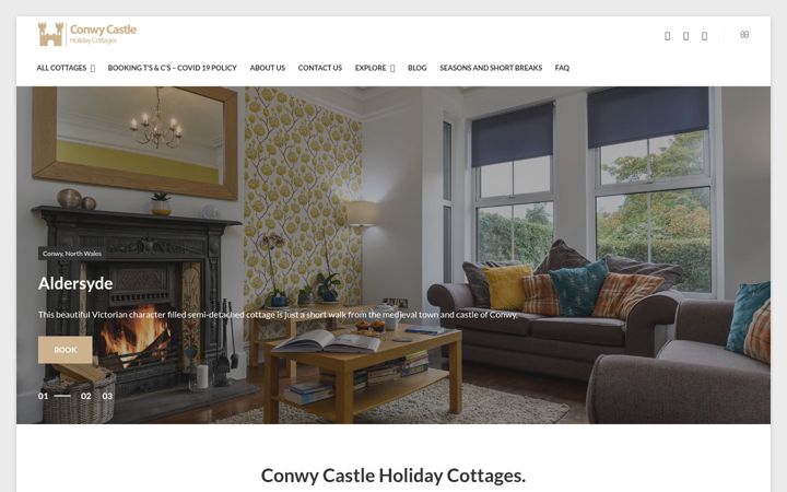 Screenshot of conwycastleholidaycottages.com