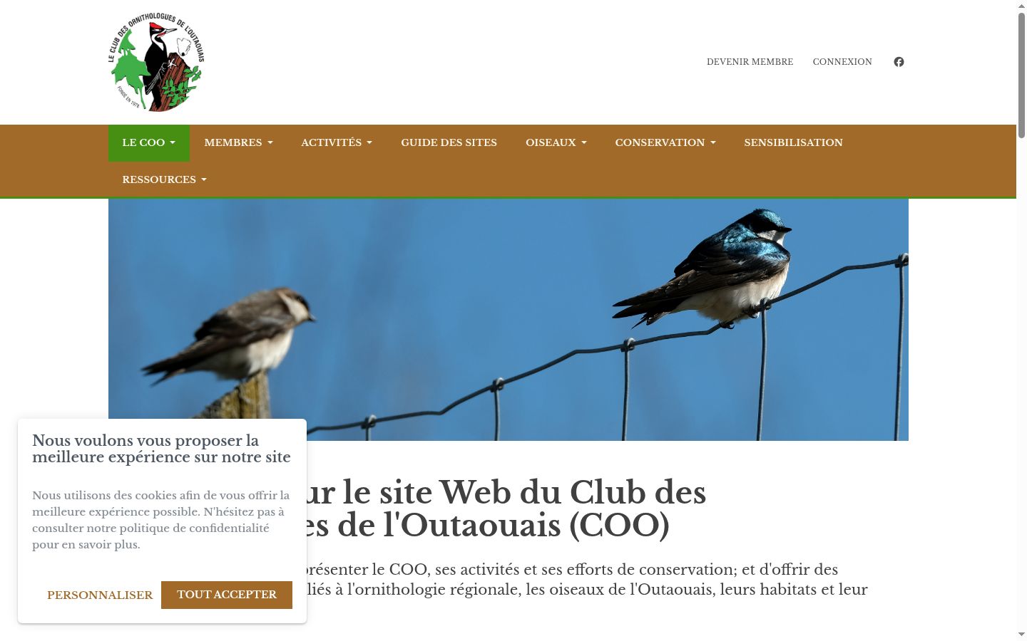 Capture d'écran de la bannière de consentement affichée avant toute interaction