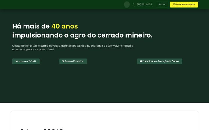 Screenshot von cooapi.com.br