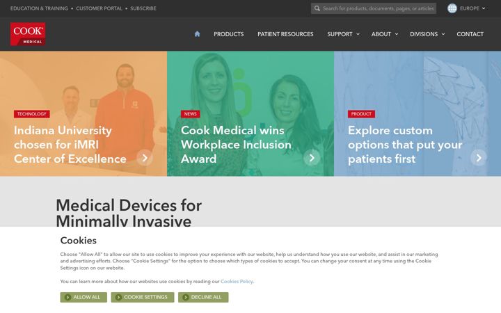 Screenshot of cookmedical.eu