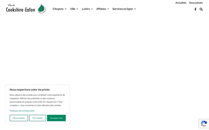 Screenshot von cookshire-eaton.qc.ca