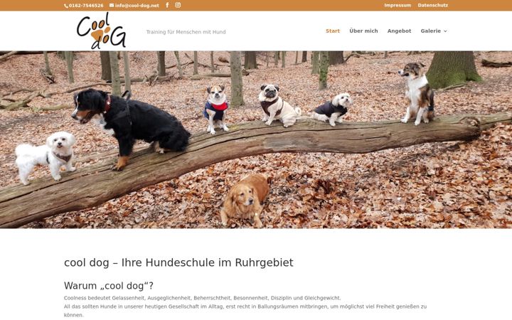 Screenshot of cool-dog.net