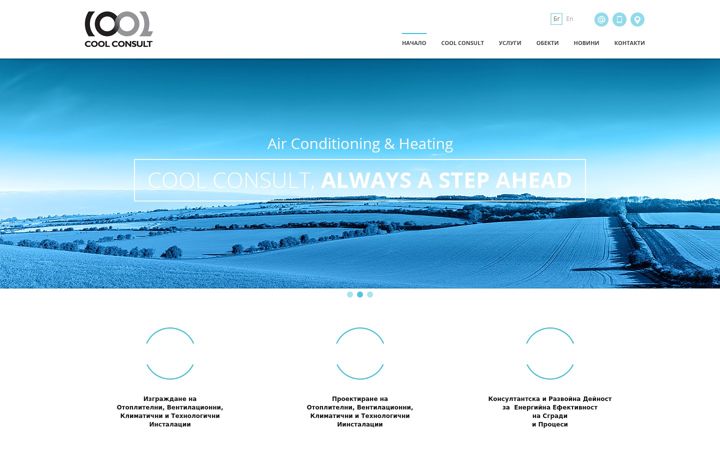 Screenshot of coolconsult.com