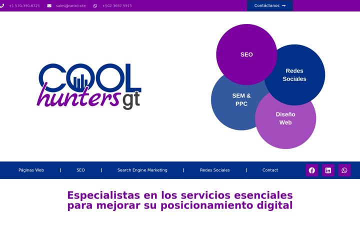 Screenshot of coolhuntersgt.net
