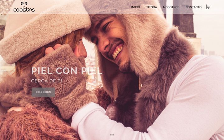 Screenshot of coolskins.es