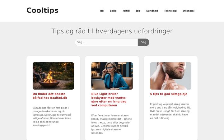 Screenshot of cooltips.dk