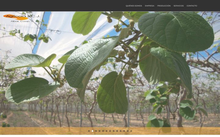 Screenshot of coopalbal.com