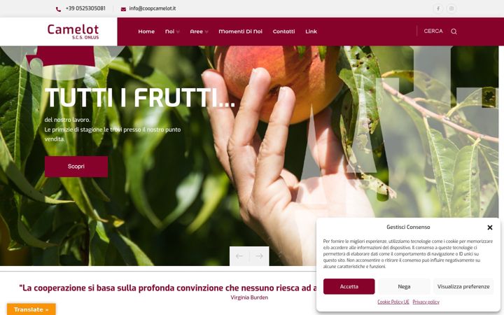 Screenshot of coopcamelot.it