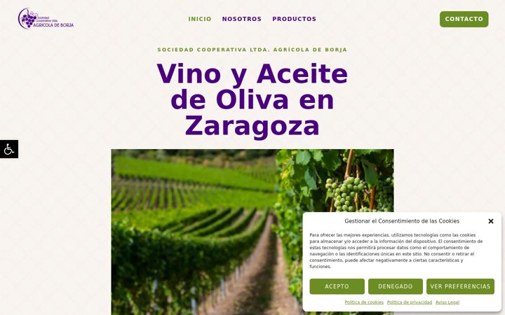 Screenshot of cooperativaborja.com