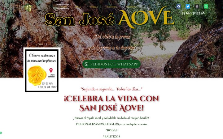 Screenshot of cooperativasanjosejauja.es