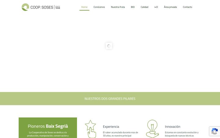 Screenshot of cooperativasoses.es