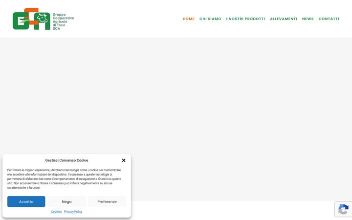 Screenshot of cooperativeagricoleditrevi.it