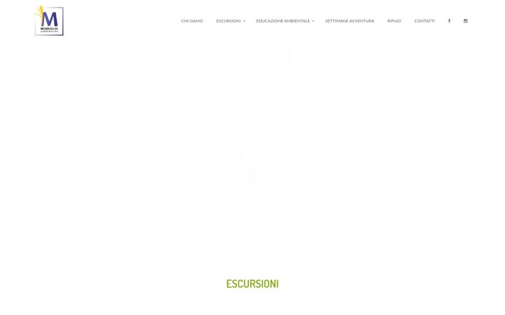 Screenshot stránky coopmadreselva.it