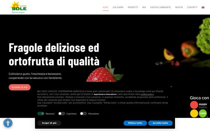 Screenshot of coopsole.it