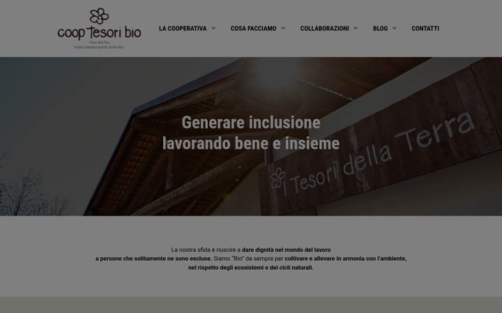 Screenshot of cooptesoribio.it