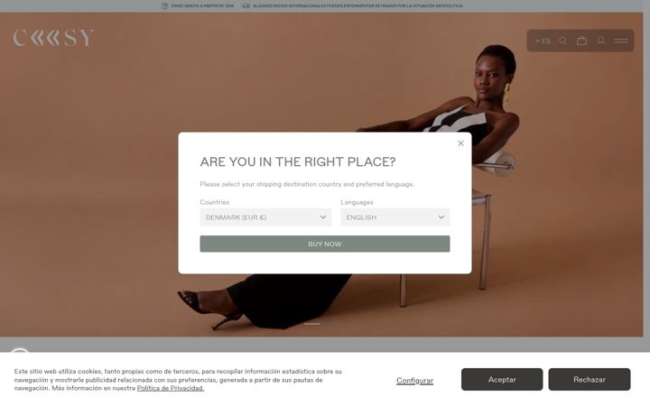 Screenshot of coosy.es