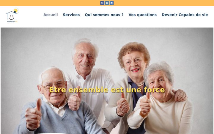 Screenshot of copainsdevie.fr
