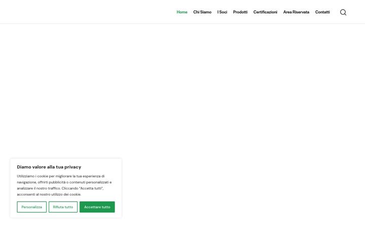 Screenshot of copasop.it