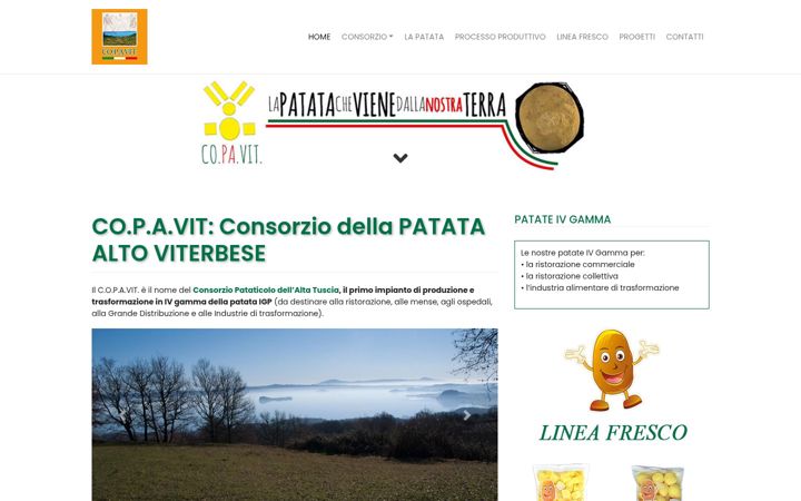 Screenshot of copavit.it