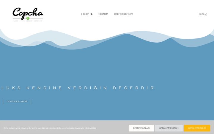 Screenshot of copcha.com.tr