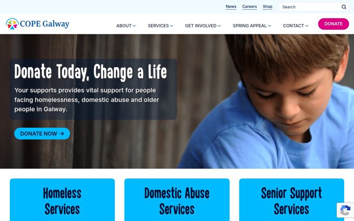Screenshot of copegalway.ie