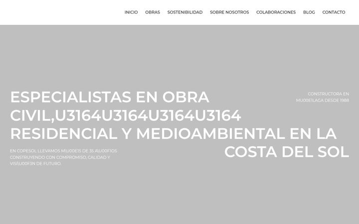 Screenshot of copesol.com