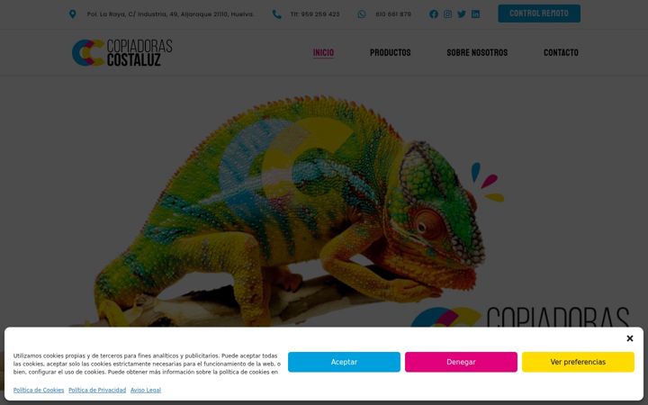 Screenshot of copiadorascostaluz.com