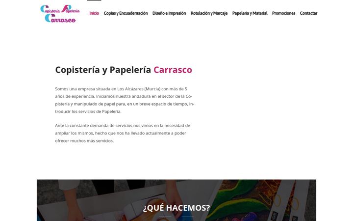 Screenshot of copicarrasco.es