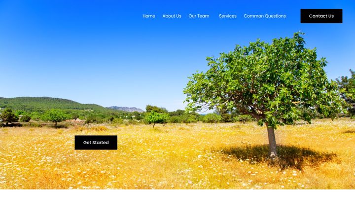 Screenshot of copiouslife.com