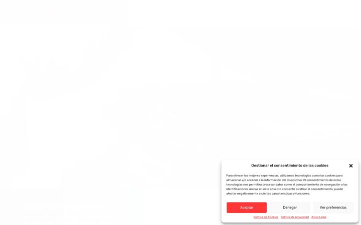 Screenshot του copisteriasoni.es