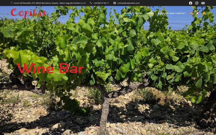 Screenshot of copitasbar.com