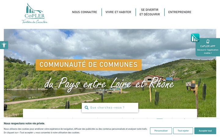 Screenshot of copler.fr