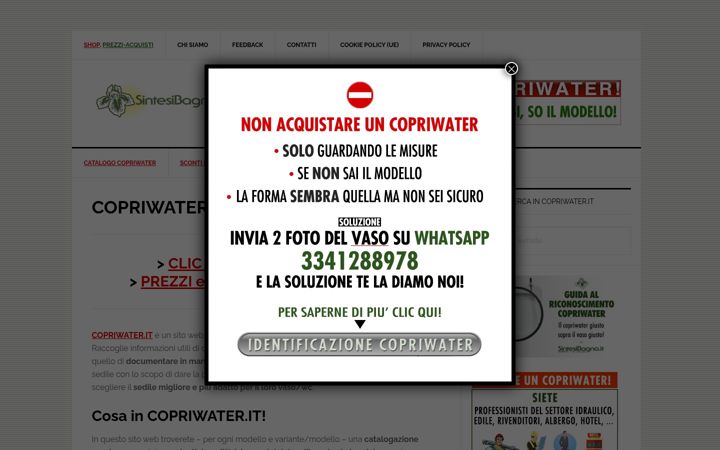 Екранна снимка на copriwater.it