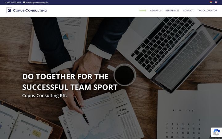 Screenshot of copusconsulting.hu