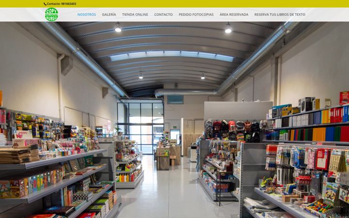 Screenshot of copyburgo.es
